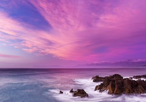 Month of Love - Weekly Update Week 8